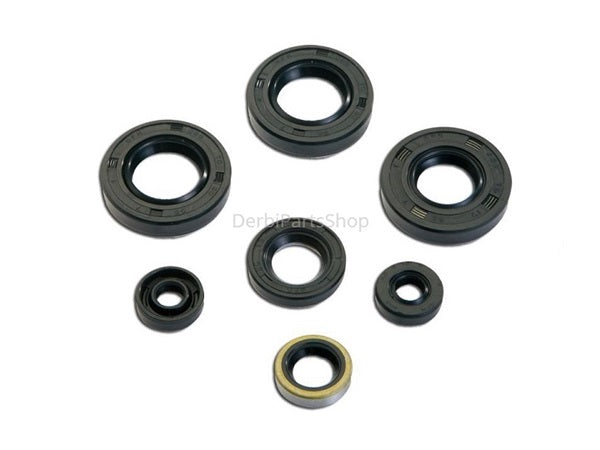 Keerring set motorblok Derbi/Aprilia NT 2006>