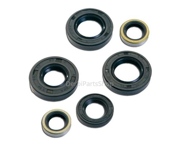 Keerring set motorblok Derbi OT 2006<