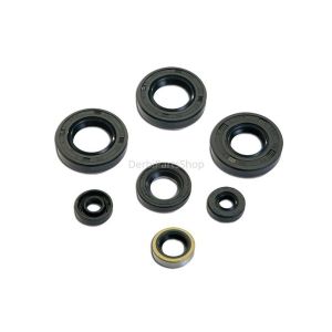 Keerring set motorblok Derbi/Aprilia NT 2006>