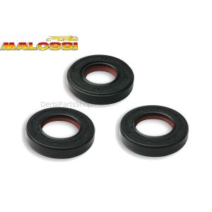 Malossi Viton krukas keerringen + vtw keerring