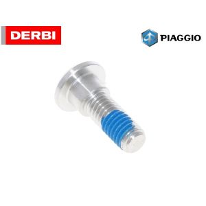 Derbi torx achter remschijf bout M8