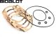 Bidalot RF70WR 70cc cilinder pakking set NT Derbi 2006>