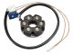 Polini stator analoog ontsteking Derbi/AM6