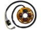 HPI 2TEN stator 94mm los Derbi/Aprilia