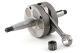 Bidalot Racing 44,9mm slag RF-WR 2016 krukas Minarelli AM6