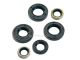 Keerring set motorblok Derbi OT 2006<